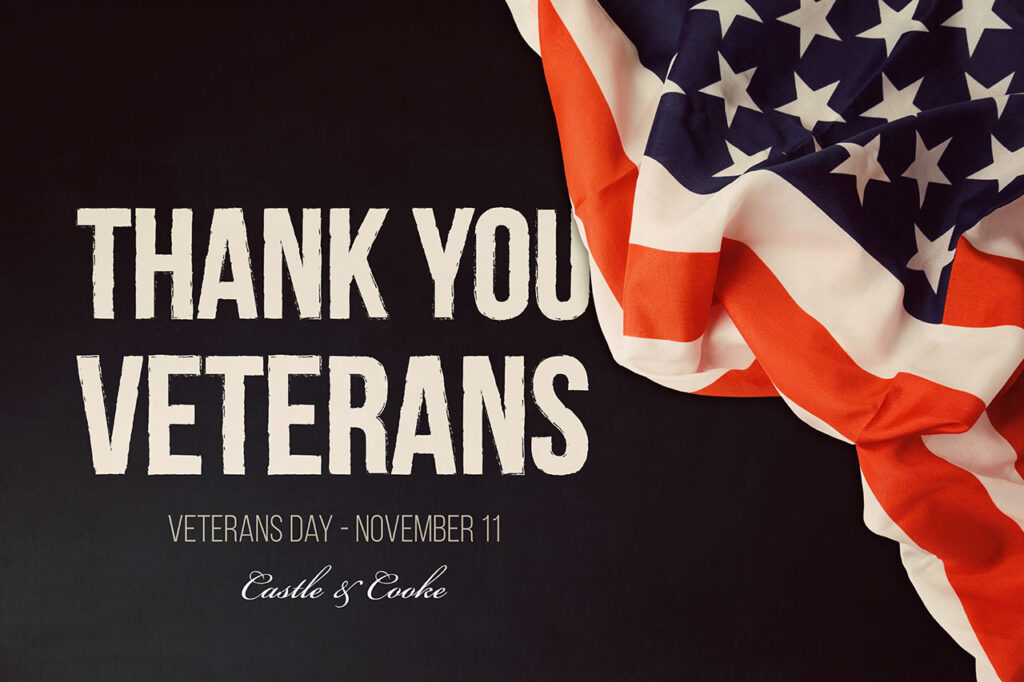 A graphic with an american flag draped elegantly, featuring the text "thank you veterans" in bold white letters, with "veterans day - november 11" and "castle & cooke" below.