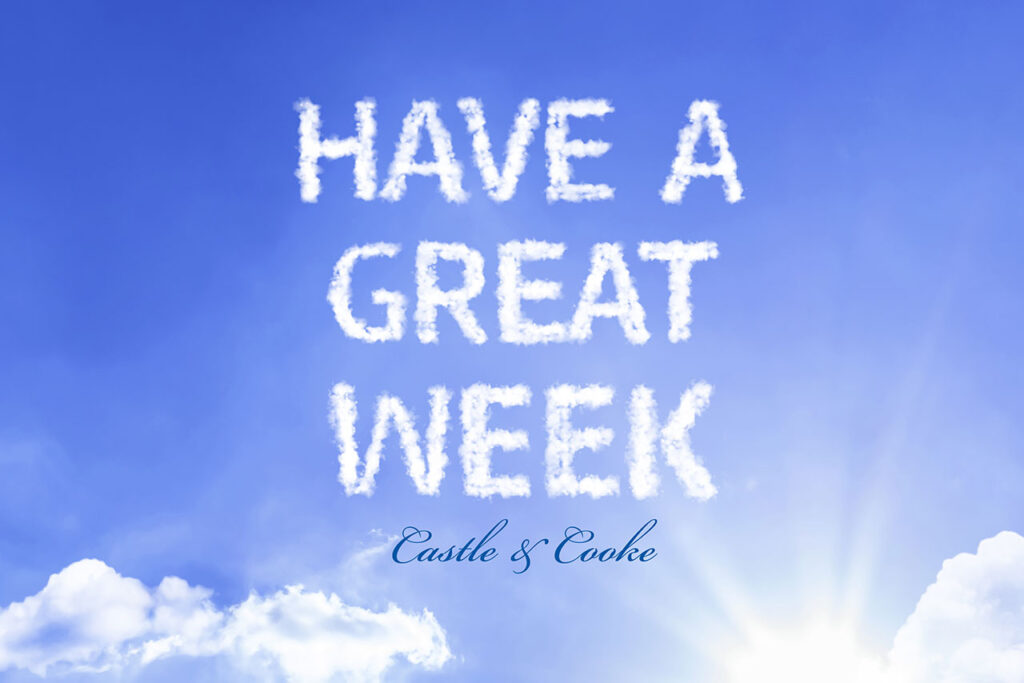 The image shows a clear blue sky with the message "have a great week" written in clouds. below the message, "castle & cooke" is written in a smaller font.